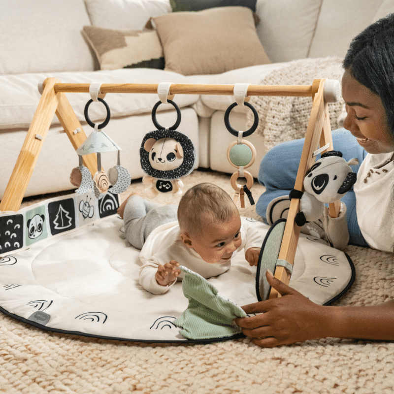 Luxe Developmental Gymini