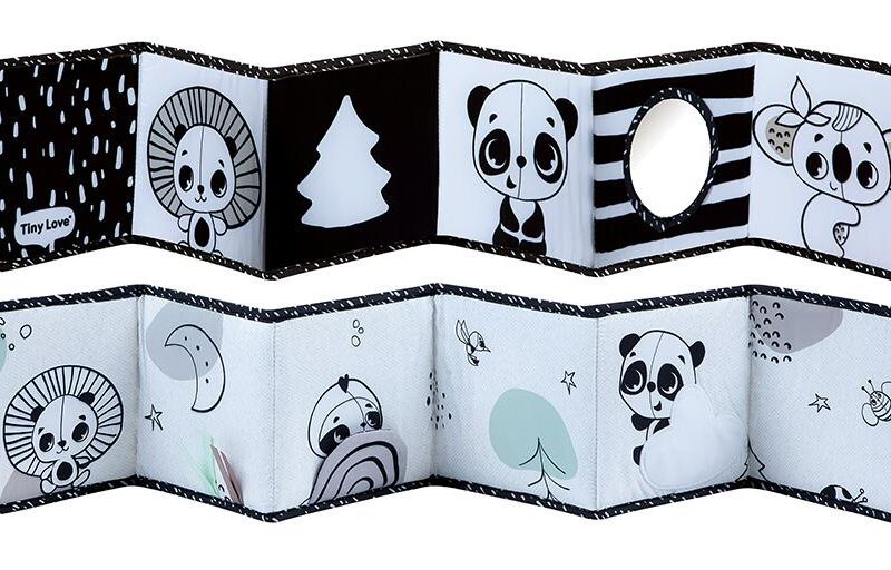 Double Sided First Book