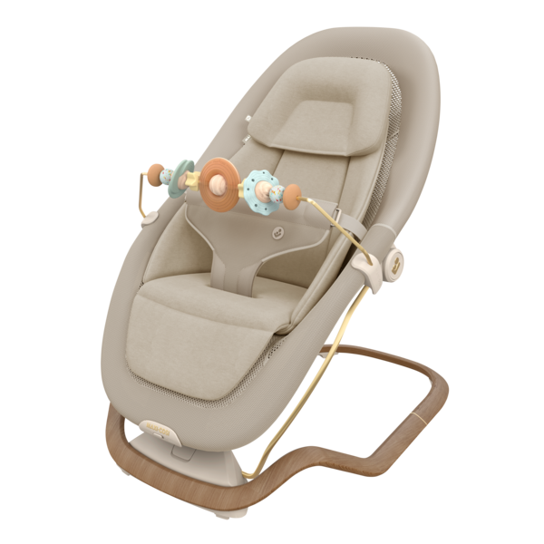 Dove Pro Bouncer with Toy Arch Bundle